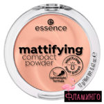 ESSENCE Пудра матирующая комп. Mattifying 04